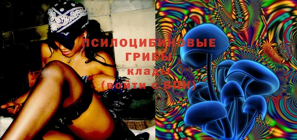 spice Володарск