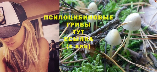 а пвп мука Верея