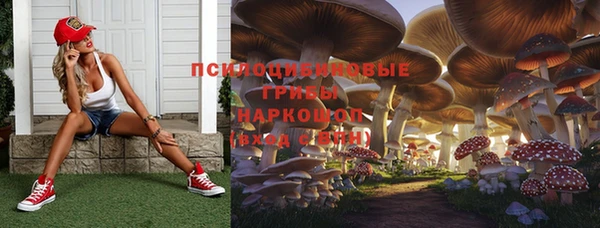 прущая мука Верхний Тагил