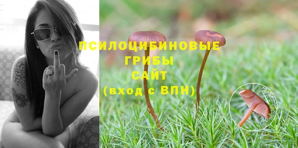 прущая мука Верхний Тагил