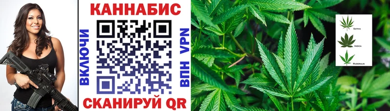 Бошки марихуана план  Невинномысск 